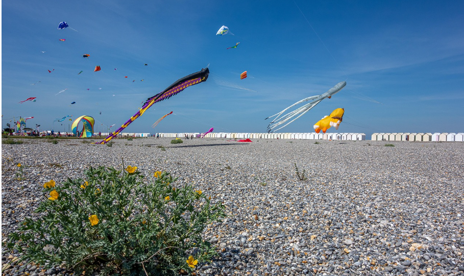 2026 04 14 16 46 56 spacesniffer 1 3 0 2.zip (Version d'évaluation)