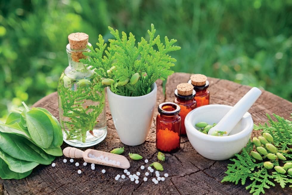 Naturopathie – Retrouver son équilibre à la rentrée